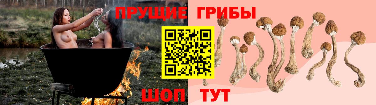 Галлюциногенные грибы Cubensis Кимовск